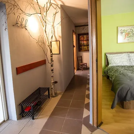 Koca Cebelica Feriehus *
